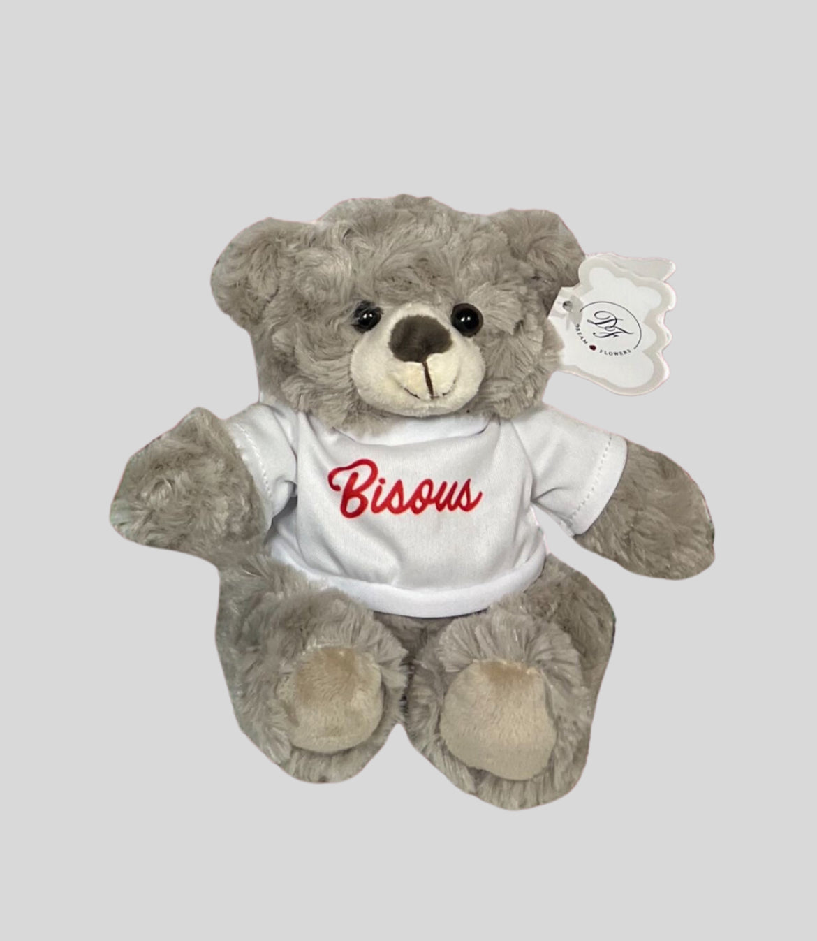 Teddy kisses mini