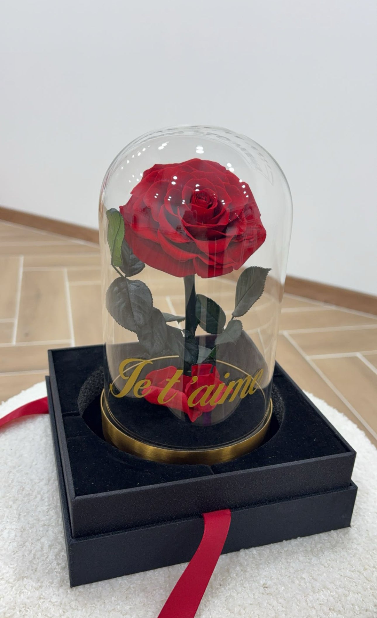 Medium rose under a glass dome