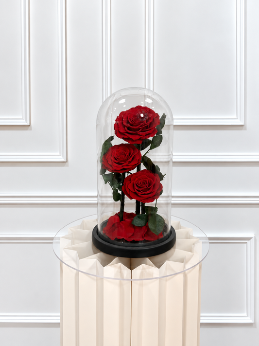Rose éternelle sous cloche ROUGE