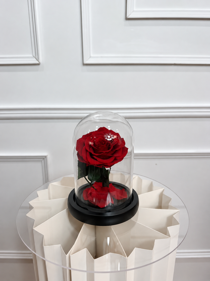 Rose éternelle sous cloche ROUGE