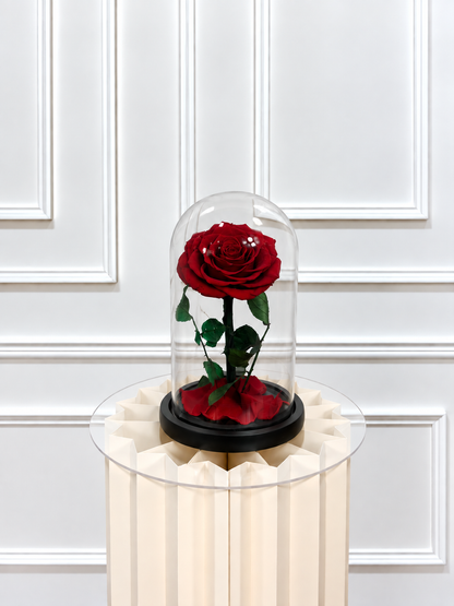 Rose éternelle sous cloche ROUGE