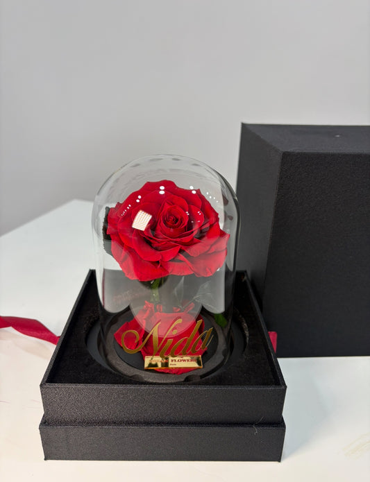 Rose éternelle sous cloche