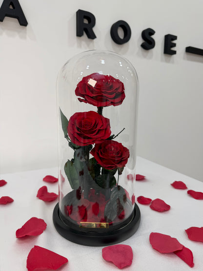 Little Rose under a Glass Dome