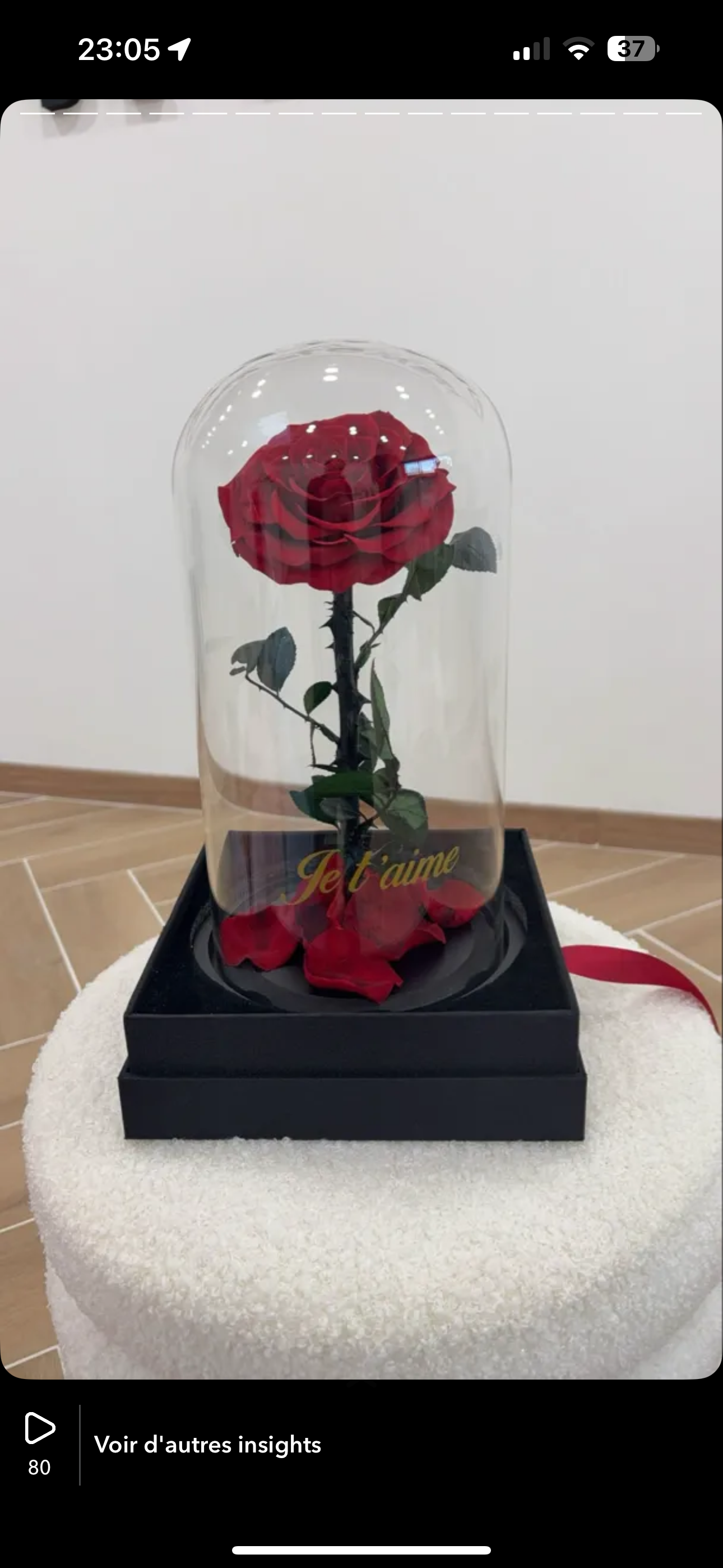 Large rose under a glass dome