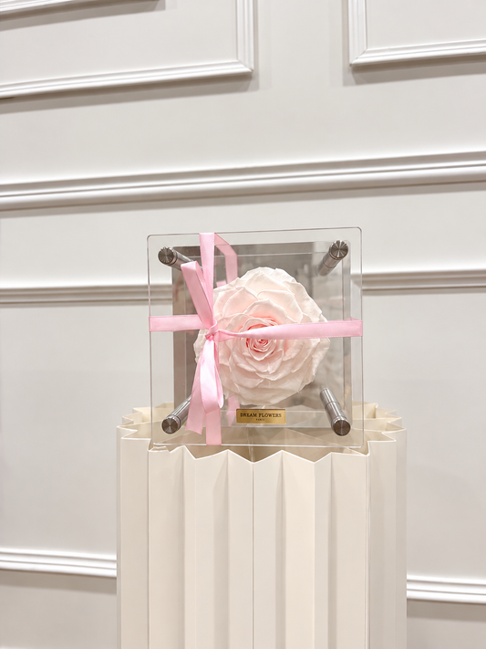 Rose miroir