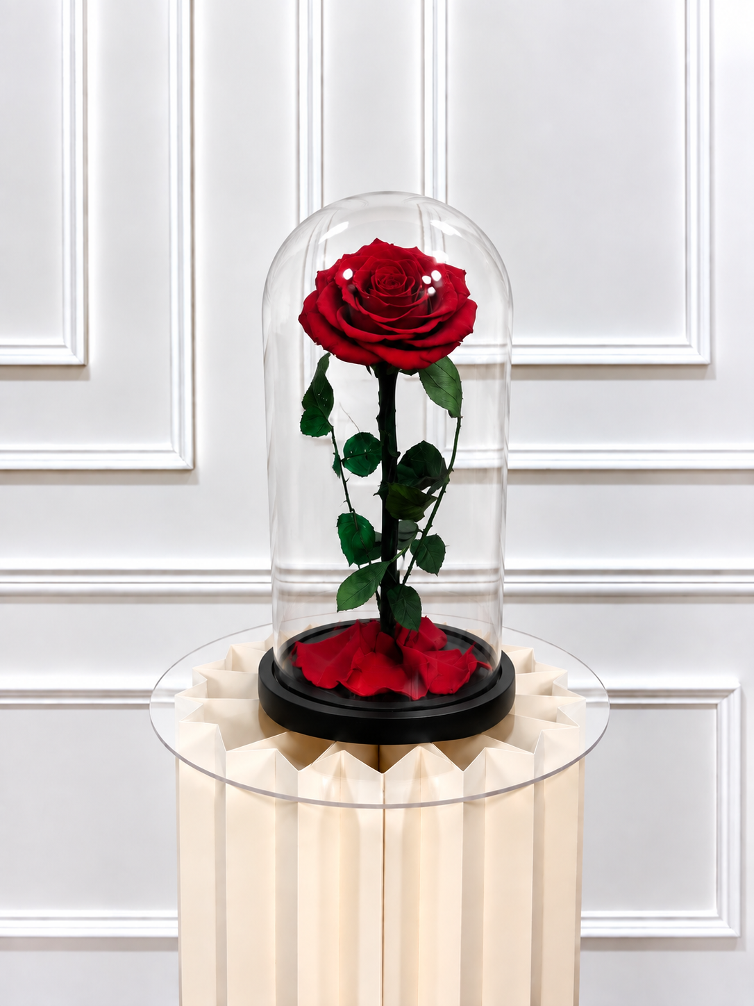 Rose éternelle sous cloche ROUGE