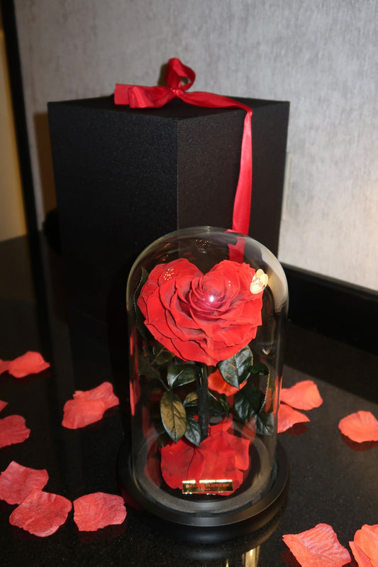 Cœur roses sous cloche