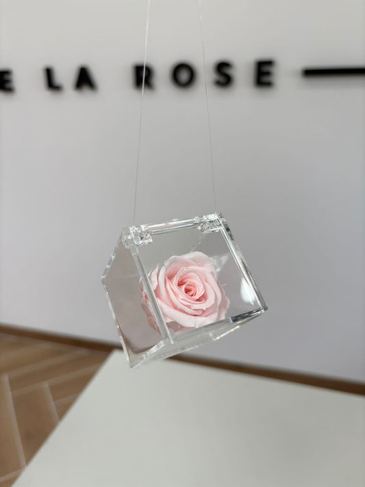 Flowers Cars Rose