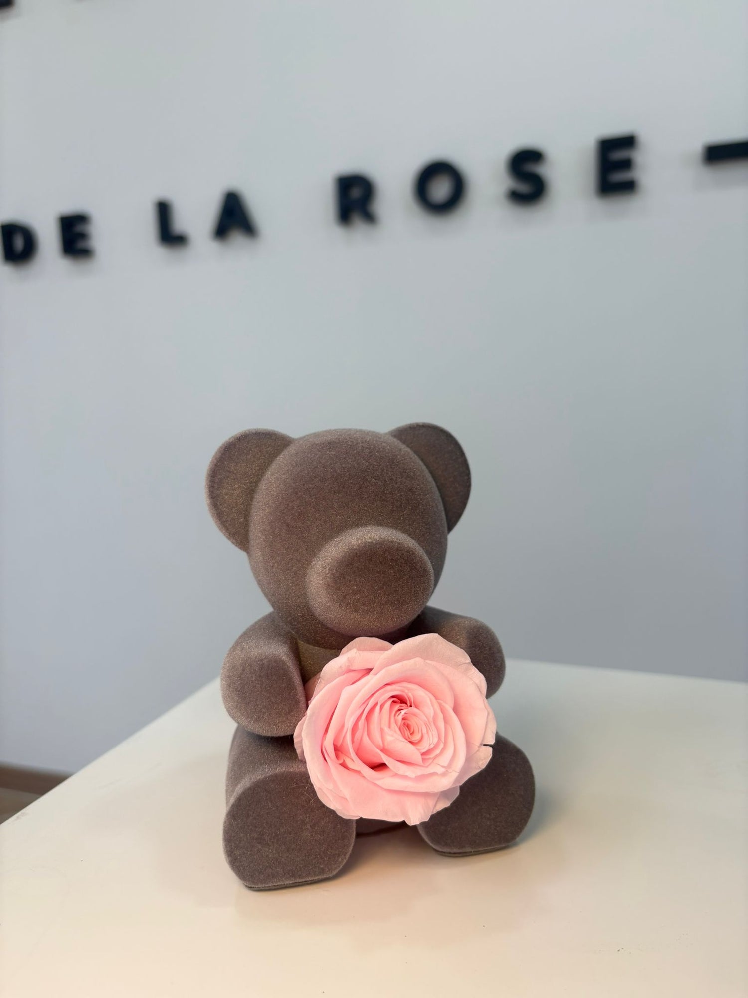 Ourson rose éternelle