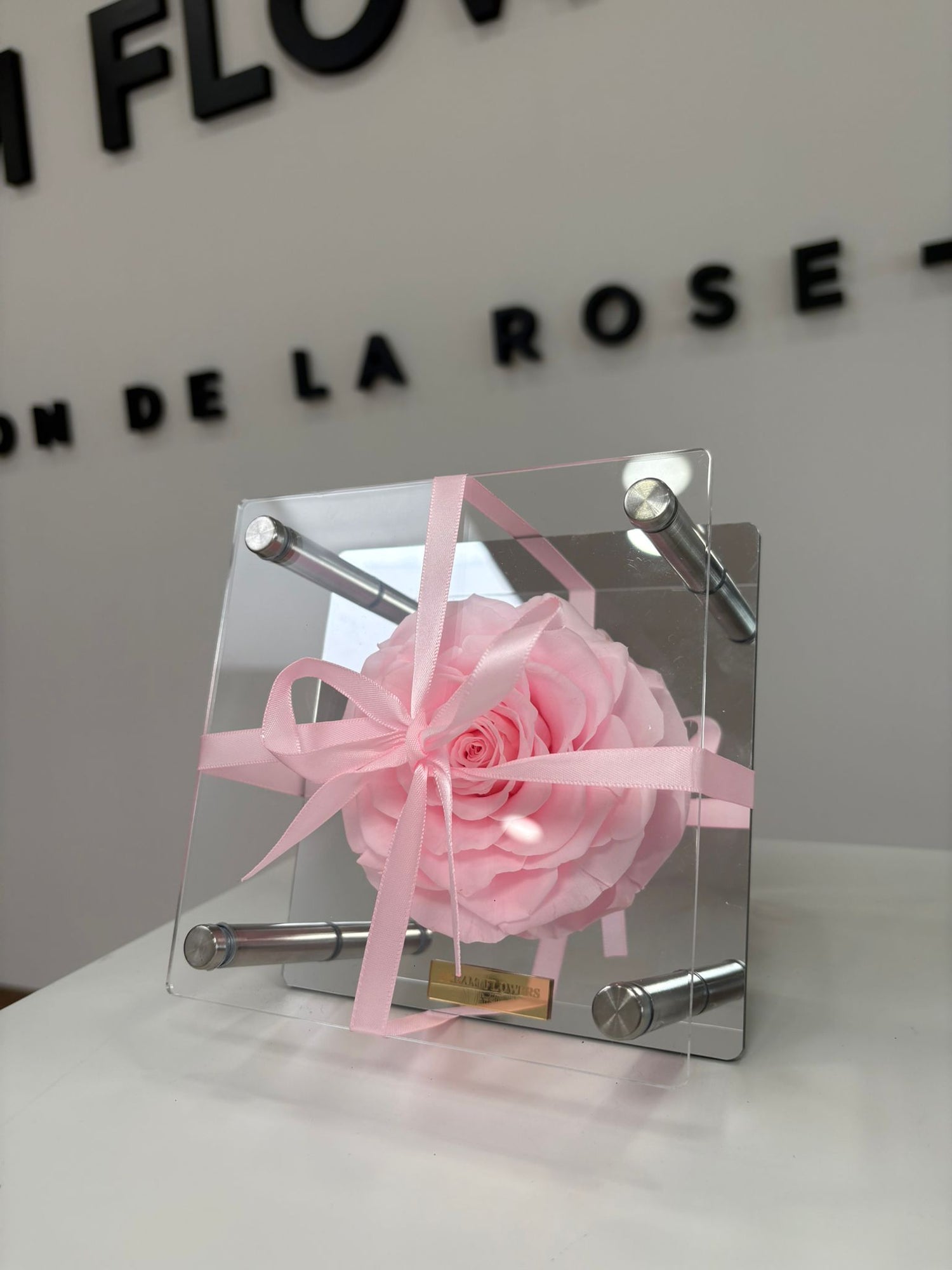Pink Rose Luxury